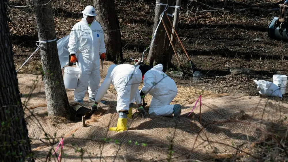 1776727137825592rhku4dpvsw-apn844802