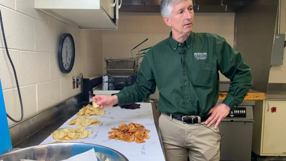 1776849496268424dltuts4xuh-apn269318