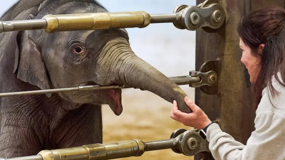 1776899901709965xh65ib2iey-apn759329