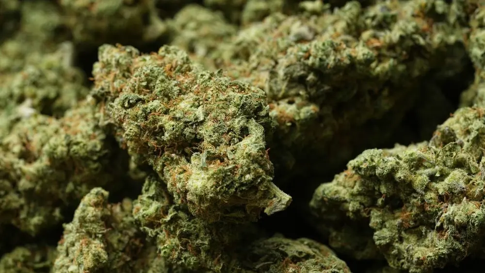 177700789491923by5pwhija0-apn735725