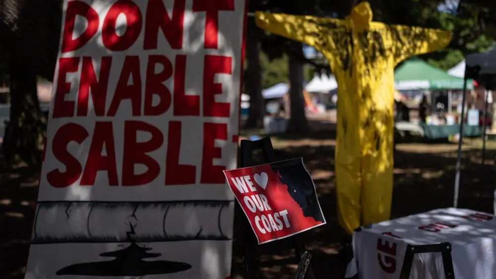 1777310295577639wknujpq2e7-apn937235