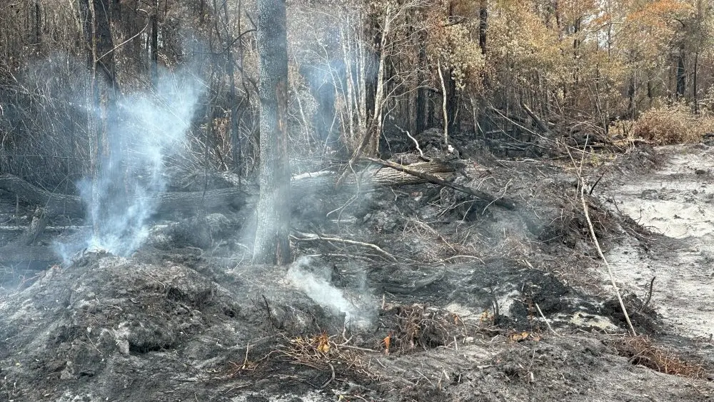 17774074969637666amnja4max-apn542050