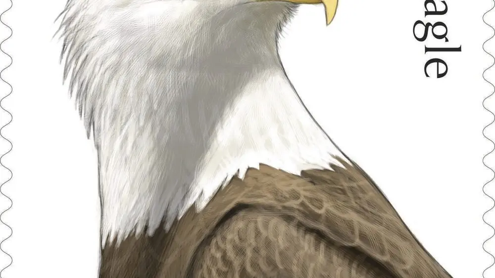 1778732296773291tege2wva8n-apn927411