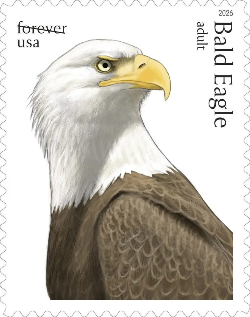 1778732296773291tege2wva8n-apn927411