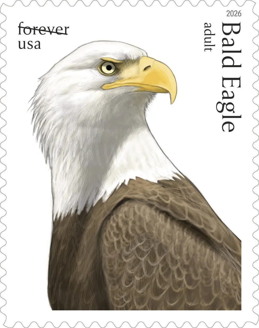 1778732296773291tege2wva8n-apn927411