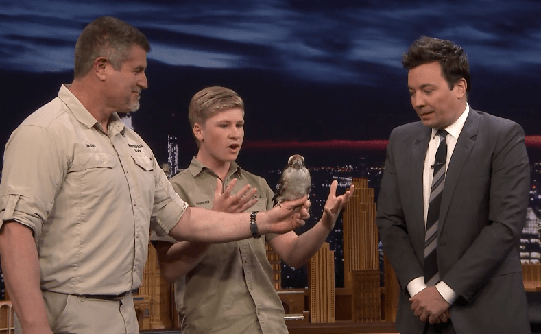 robert-irwin_1525346889510-png_85731849_ver1-0-jpg