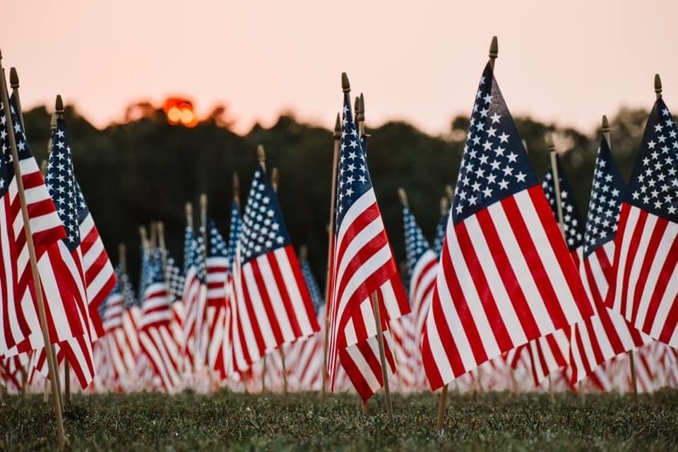 flags