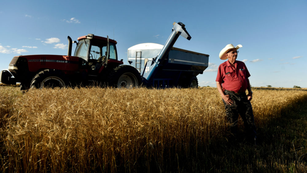 file-photo-farmer-jacob-gossen-takes-a-break-in-his-familys-fields-during-harvesting-of-wheat-in-corn