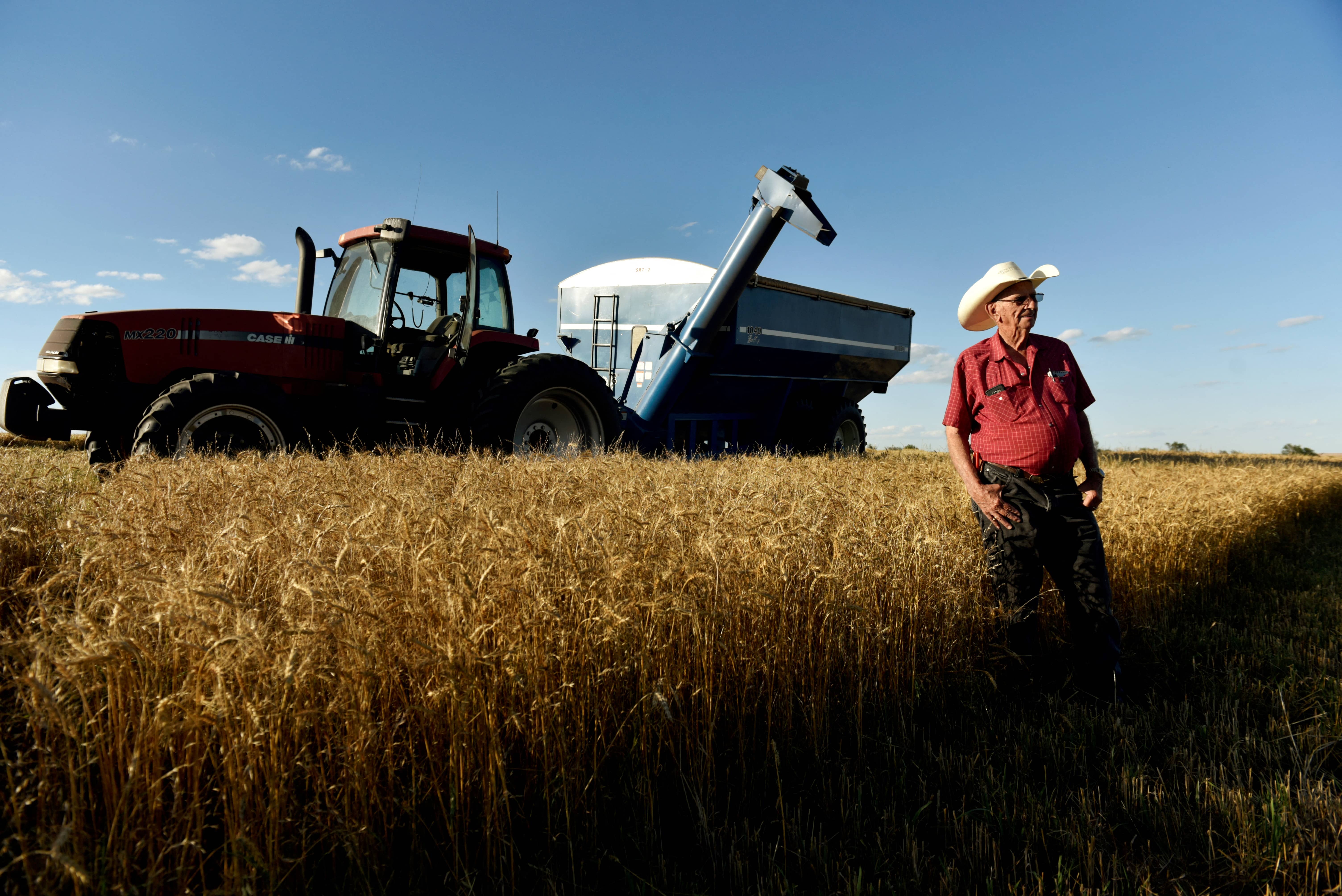 file-photo-farmer-jacob-gossen-takes-a-break-in-his-familys-fields-during-harvesting-of-wheat-in-corn