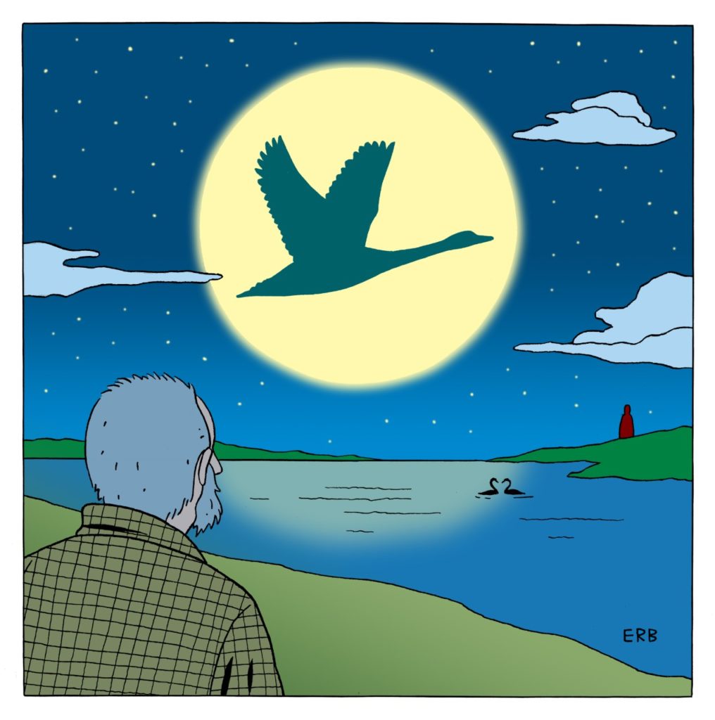 thumbnail_swan-lake-color-final