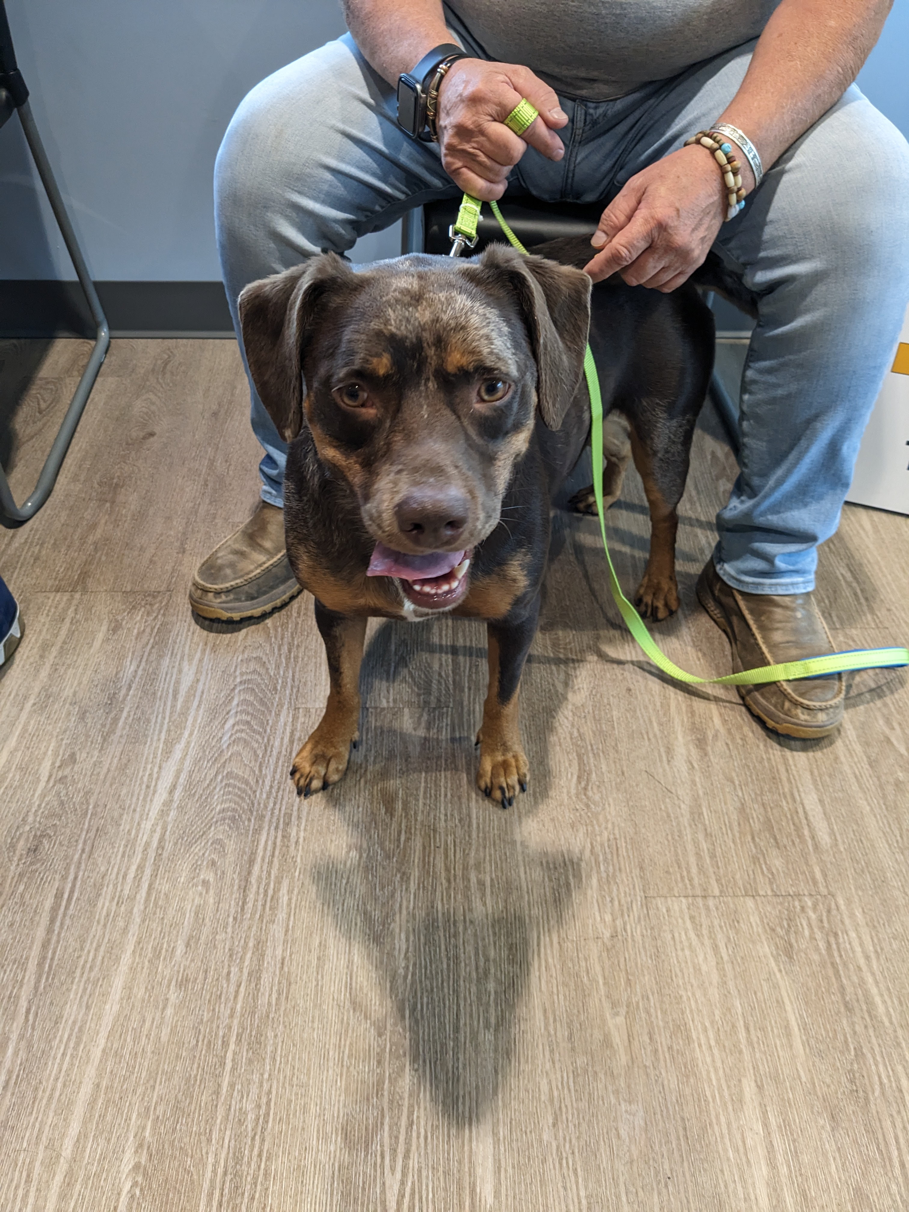 pxl_20230801_150726140-mp_