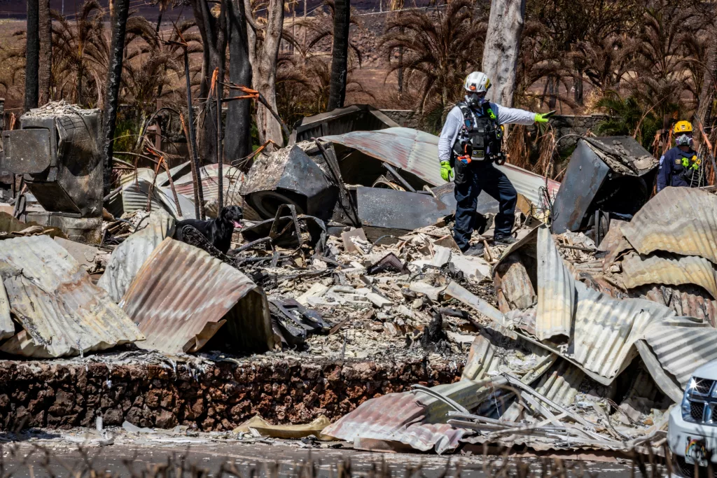 file-photo-search-rescue-and-recovery-personnel-conduct-search-operations-of-areas-damaged-by-maui-wildfires