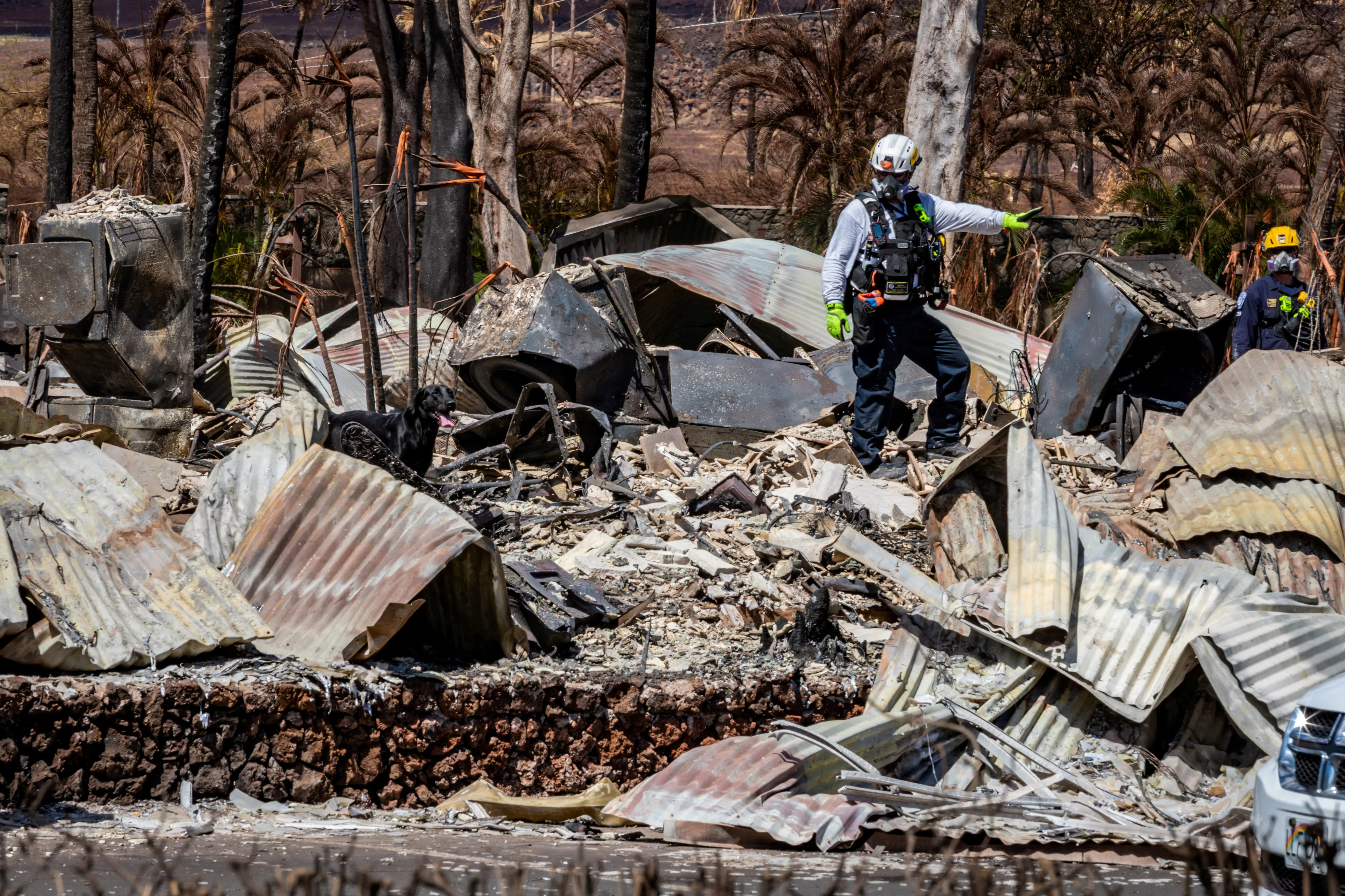 file-photo-search-rescue-and-recovery-personnel-conduct-search-operations-of-areas-damaged-by-maui-wildfires