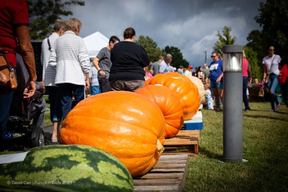 pumpkin-daze-2021