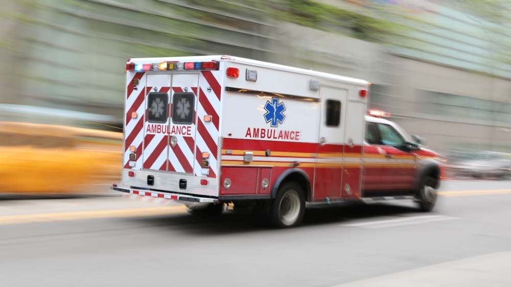 2 young siblings killed at child's birthday party in Michigan after ...
