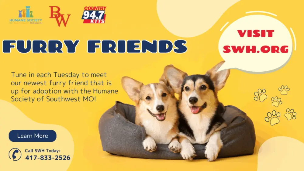 furry-friends-updated-graphic