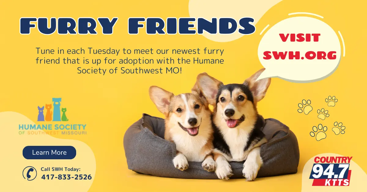 furry-friends-updated-graphic-2