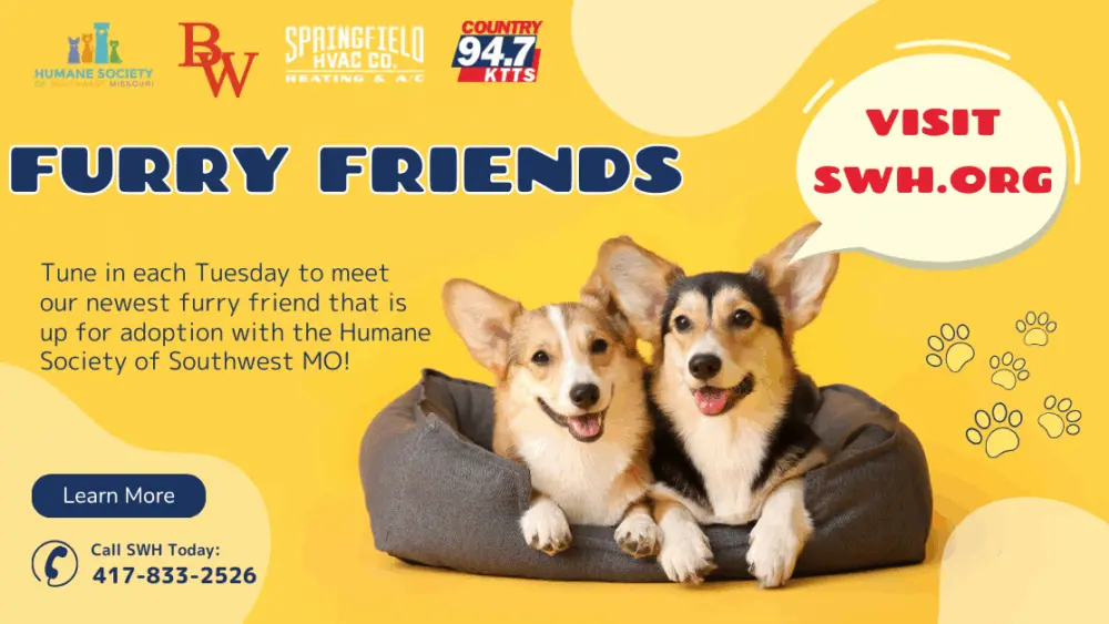 mostest-fotschs-furry-friends-updated-graphic-1