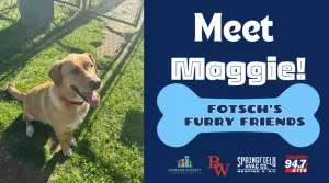 fotsch-furry-friends