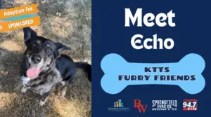 fotsch-furry-friends-13