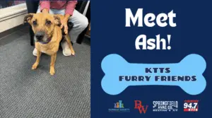 fotsch-furry-friends-18