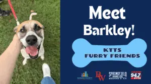 fotsch-furry-friends-19