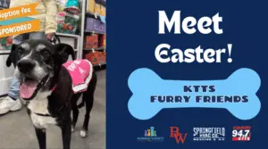 fotsch-furry-friends-20