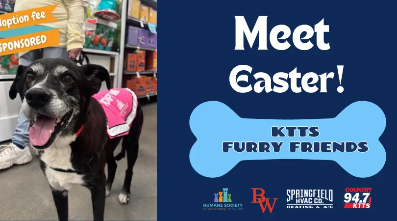 fotsch-furry-friends-20