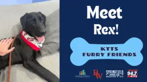 fotsch-furry-friends-21