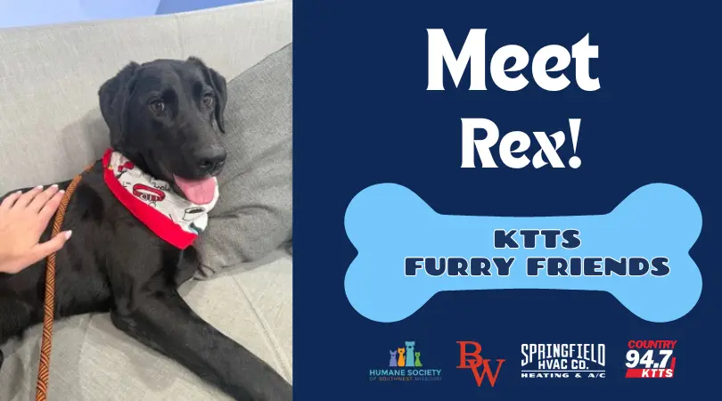 fotsch-furry-friends-21