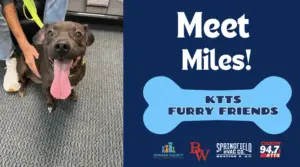 fotsch-furry-friends-22