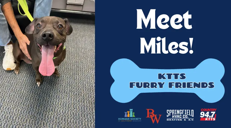 fotsch-furry-friends-22