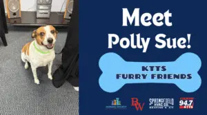 fotsch-furry-friends-24