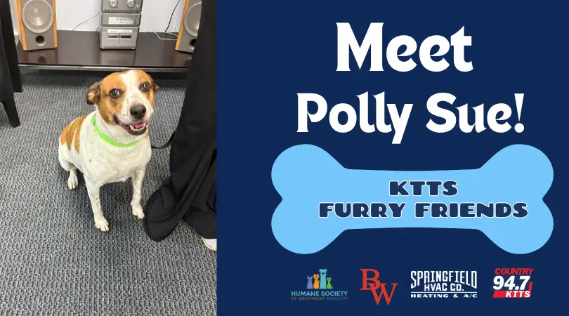 fotsch-furry-friends-24