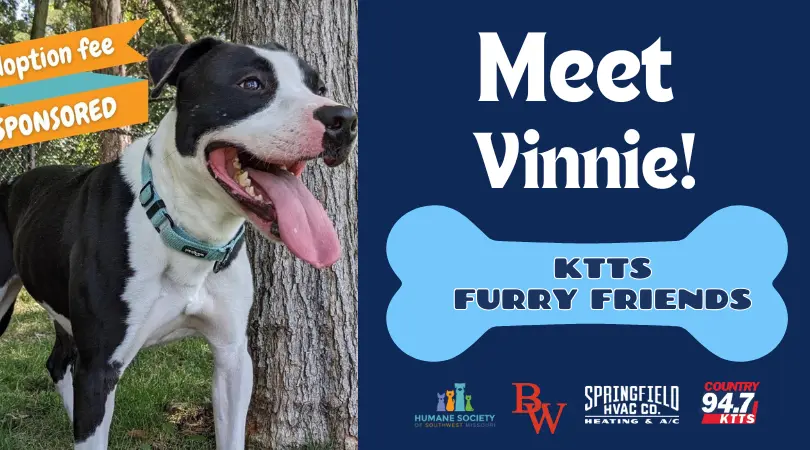 fotsch-furry-friends-25