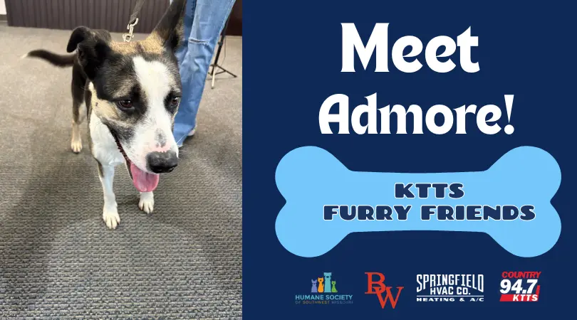 fotsch-furry-friends-26