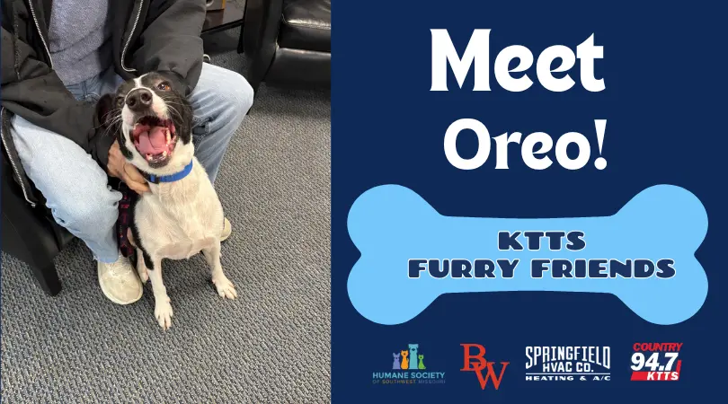 fotsch-furry-friends-27