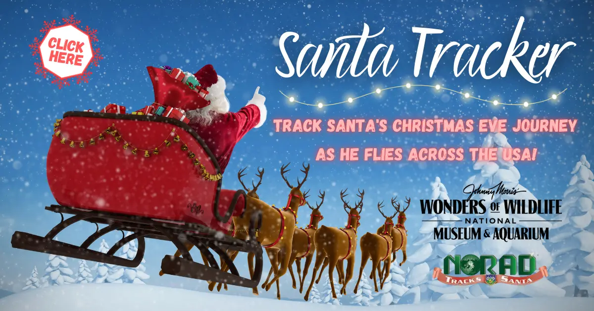 santa-tracker-2025