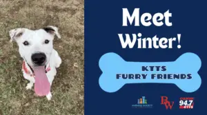 fotsch-furry-friends-28