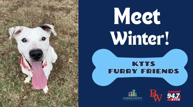 fotsch-furry-friends-28