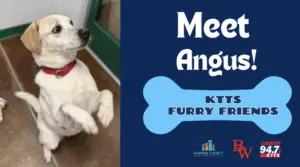 fotsch-furry-friends-29