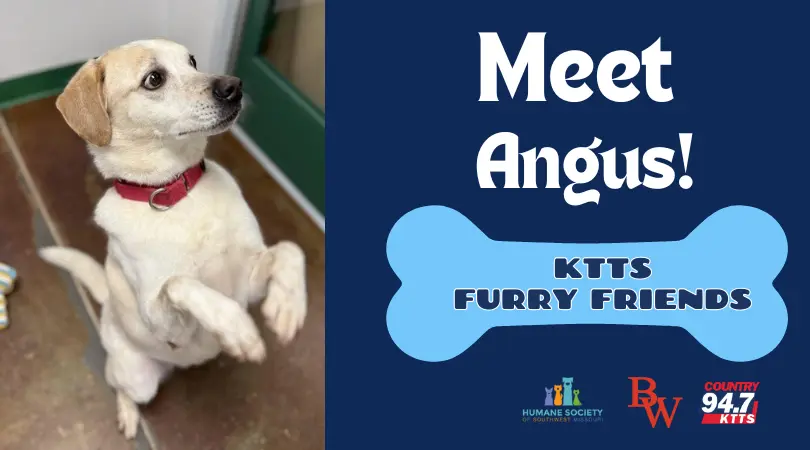 fotsch-furry-friends-29