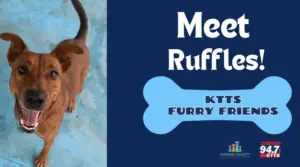 fotsch-furry-friends-30