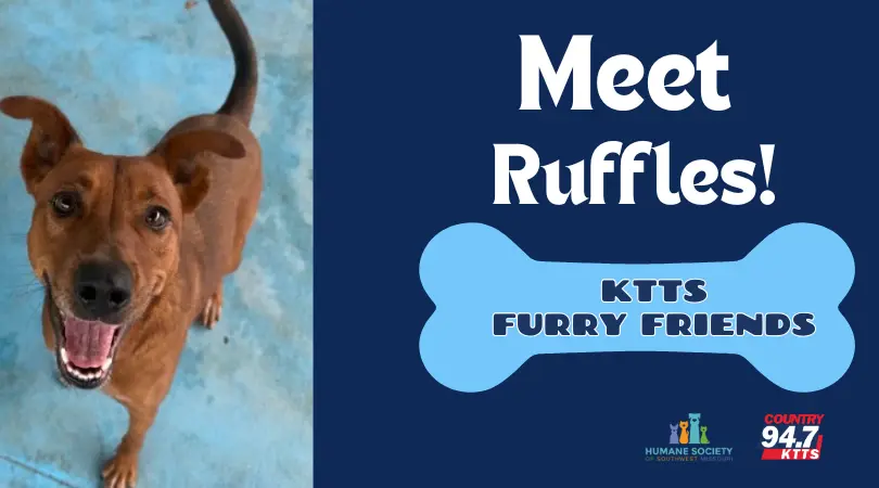 fotsch-furry-friends-30