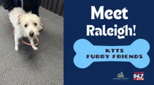 fotsch-furry-friends-31