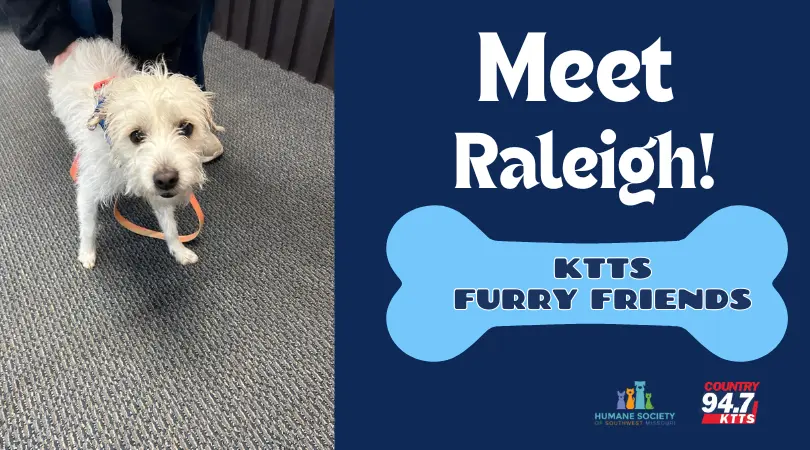 fotsch-furry-friends-31