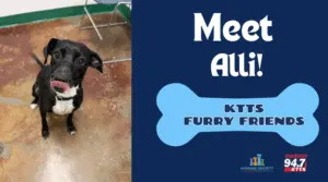 fotsch-furry-friends-23