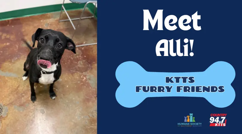 fotsch-furry-friends-23