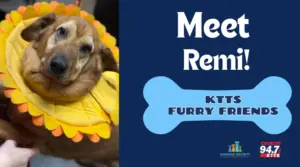 fotsch-furry-friends-1-3