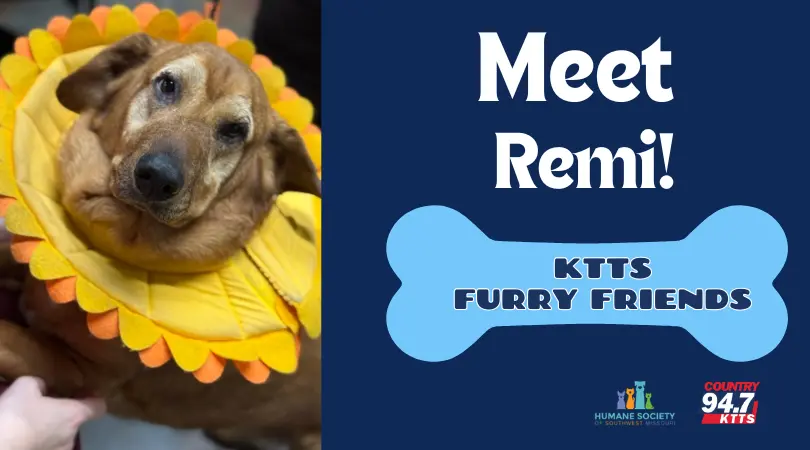 fotsch-furry-friends-1-3